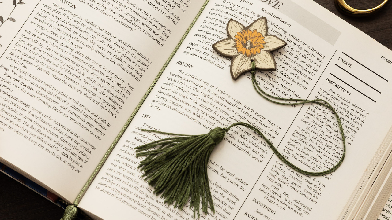 Embrace the Analog Life This Spring