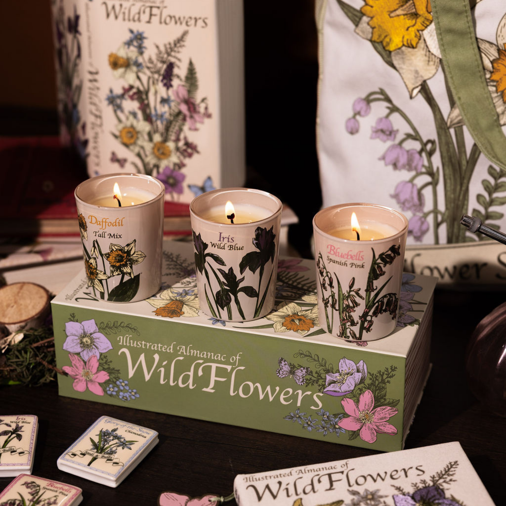 Votive Candle Set of 3, Almanac of Wildflowers (Courtyard Blooms Scent)