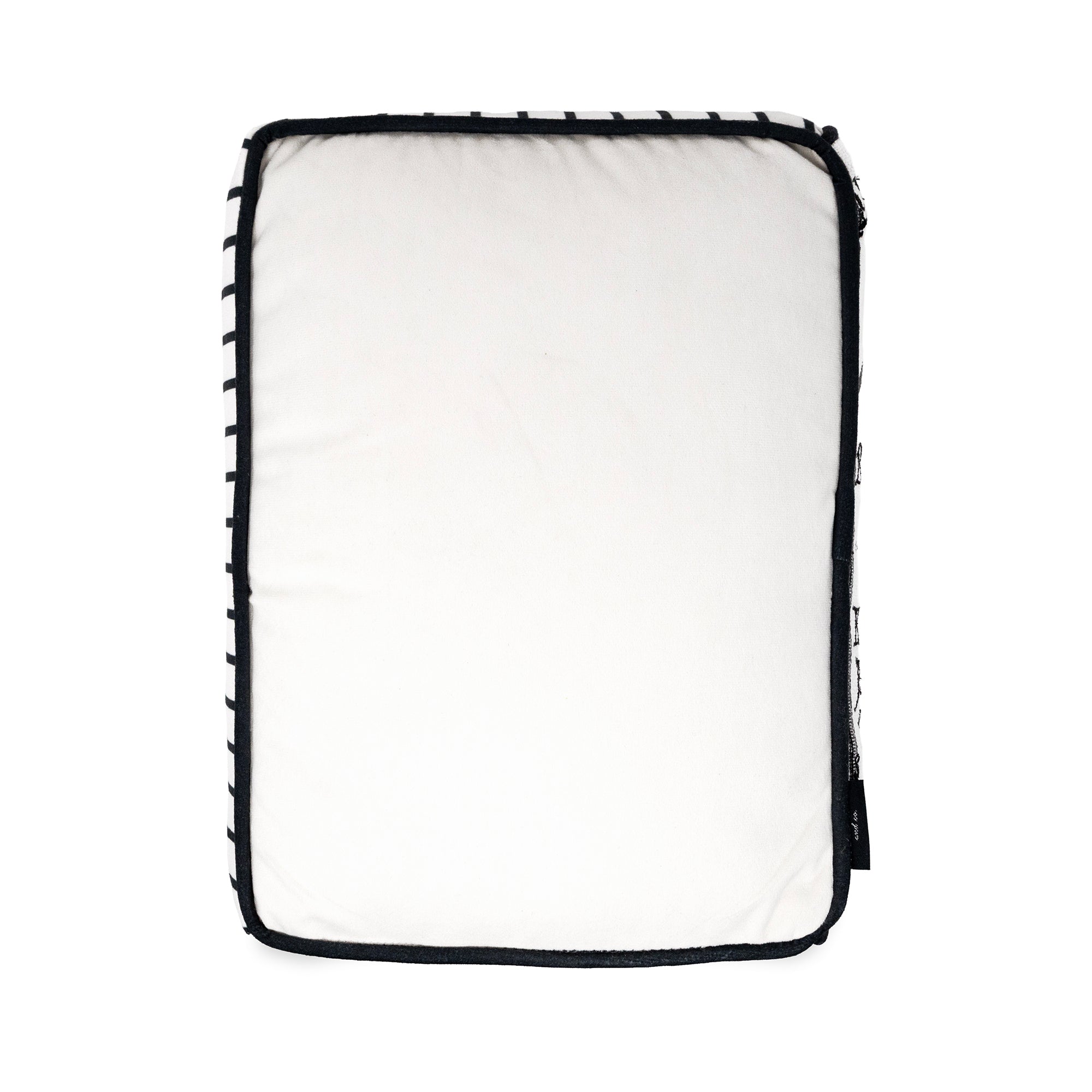 back view of white Edgar Allan Poe the raven rectangular throw pillow