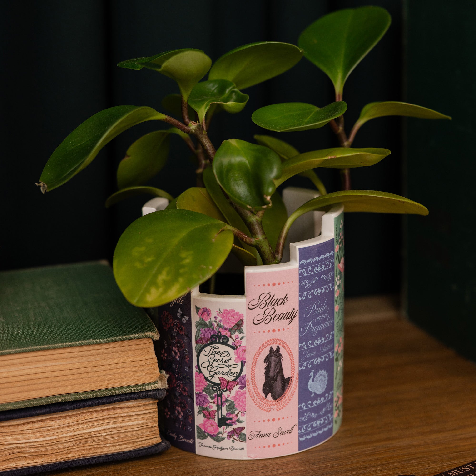 A white ceramic book-shaped planter featuring printed book spines, including designs for Jane Eyre, Poirot Investigates, Bronte, and Gulliver's Travels with a plant inside