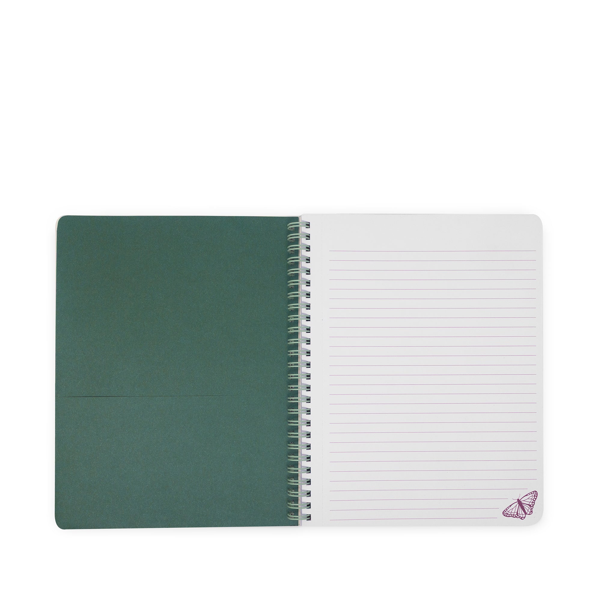 Green notebook with a white lined interior on a white background