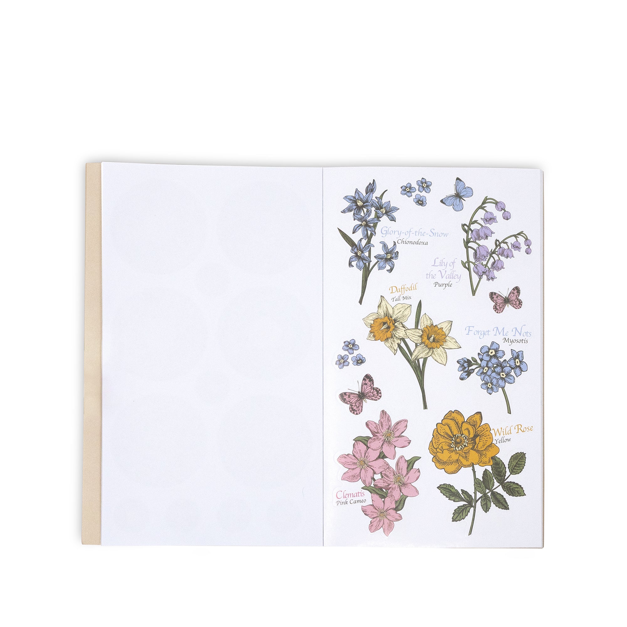 sticker book with floral illustrations 