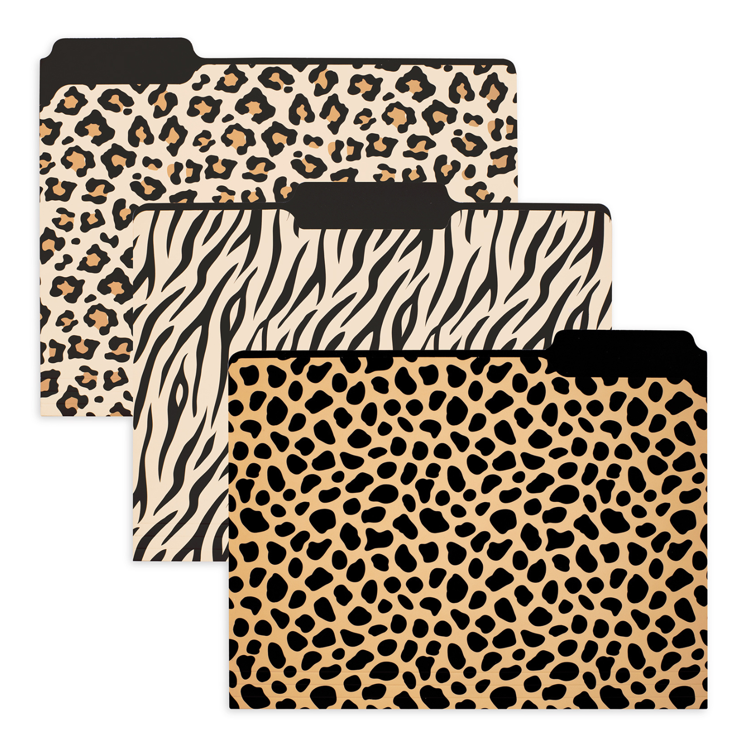 File Folders, Leopard