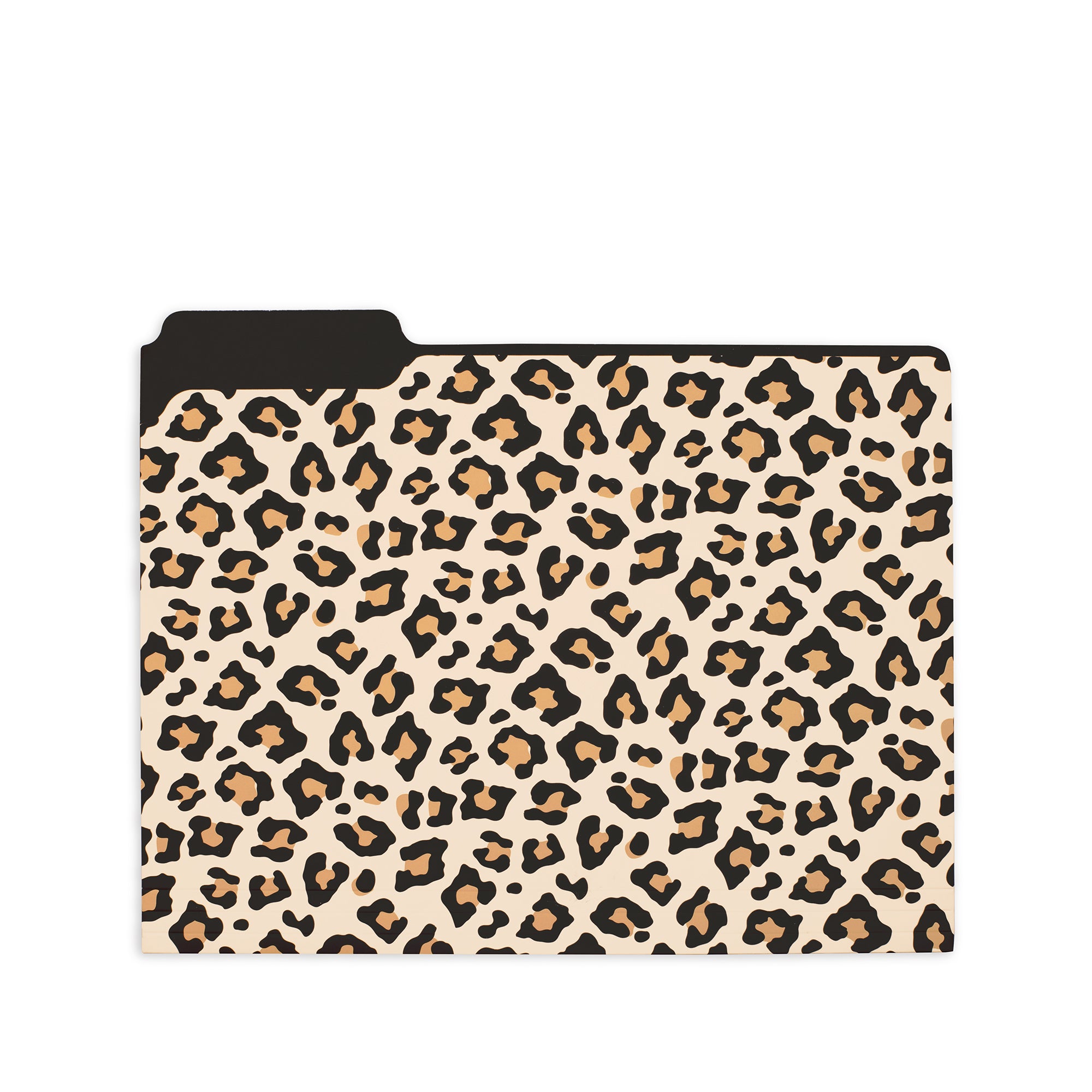 File Folders, Leopard