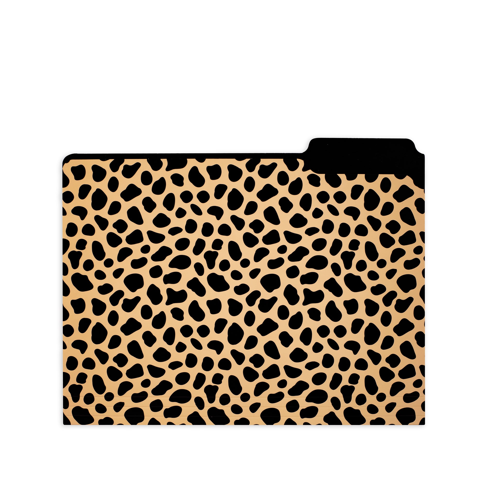 File Folders, Leopard
